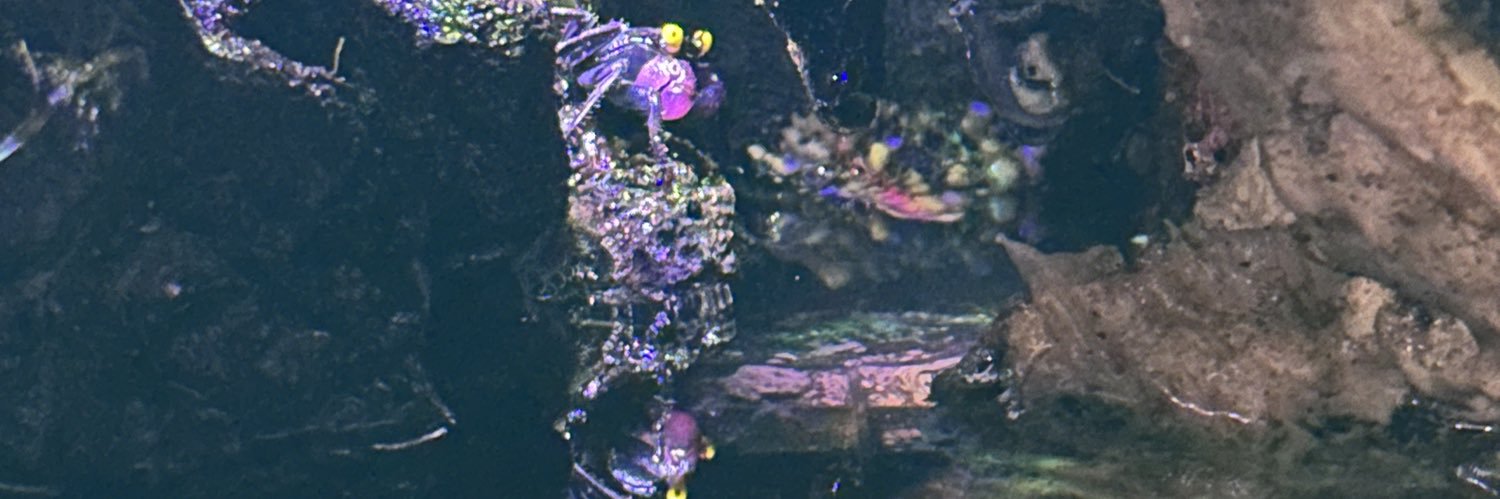 jerktx01's profile banner image