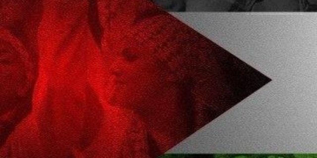 PCloskey's profile banner image