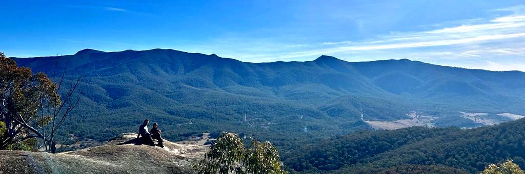 Dan Wheelahan banner