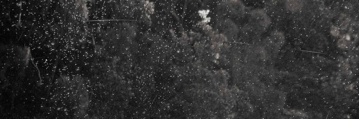 a_kovalev's profile banner image