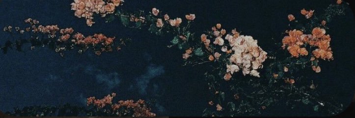 Sarah Abdulrahman 🌐 banner