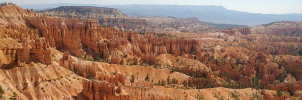 jenniferfield Profile Banner