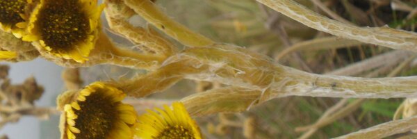 HR920 Profile Banner