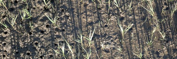 tonyherrera Profile Banner