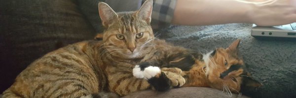 Ginaatonic Profile Banner