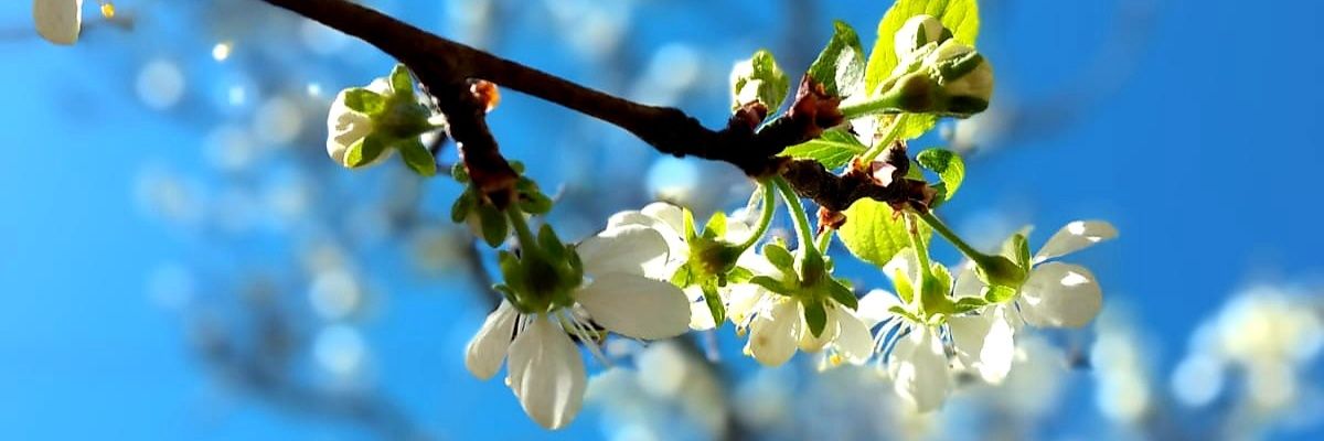 MarghyDa's profile banner image