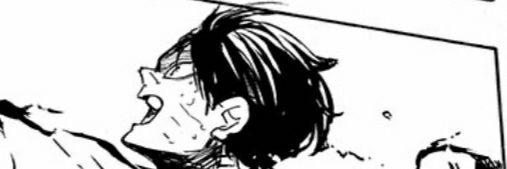 Noba banner