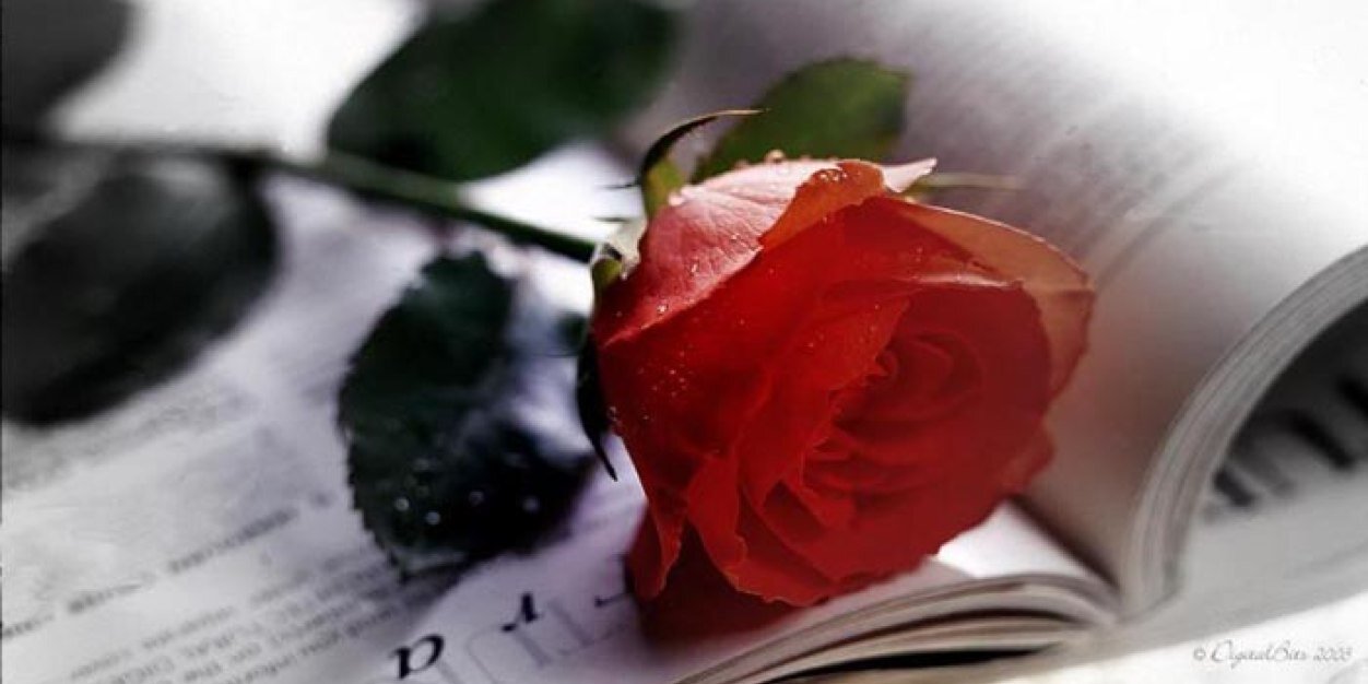 q8qala's profile banner image