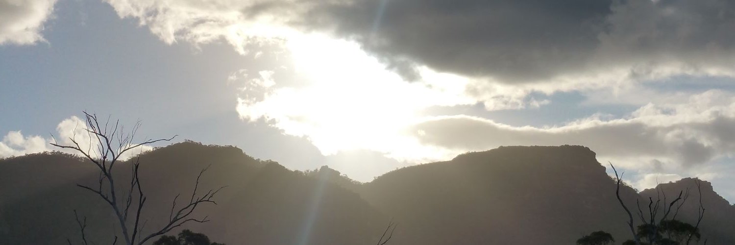 whyustolemyname's profile banner image