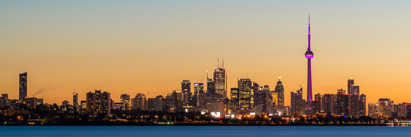 salimn Profile Banner