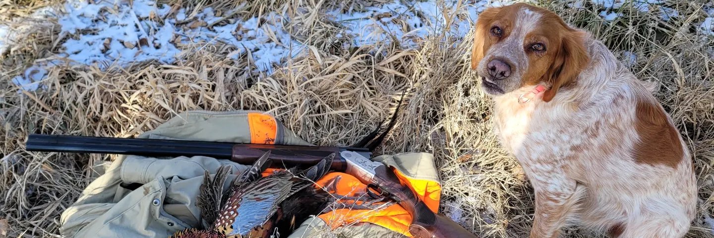 Donald Sunday banner