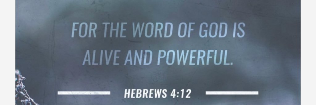madsroyy's profile banner image