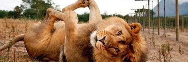 Raxy46 Profile Banner