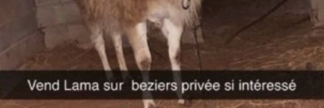 Hugo banner