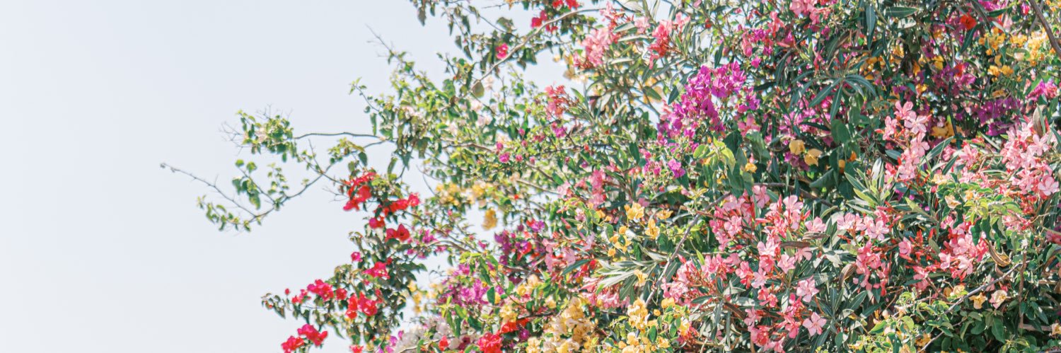 HeyFrancesca's profile banner image