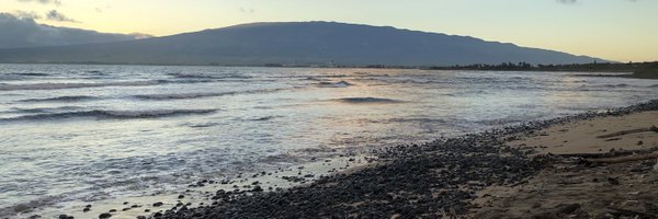 MeaganHCasio Profile Banner