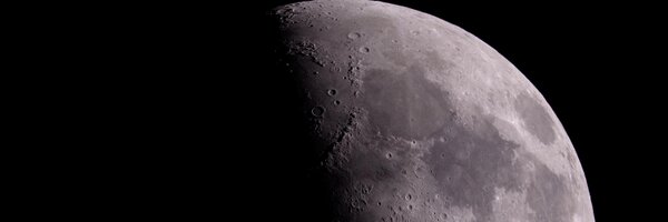 Fogboundturtle Profile Banner