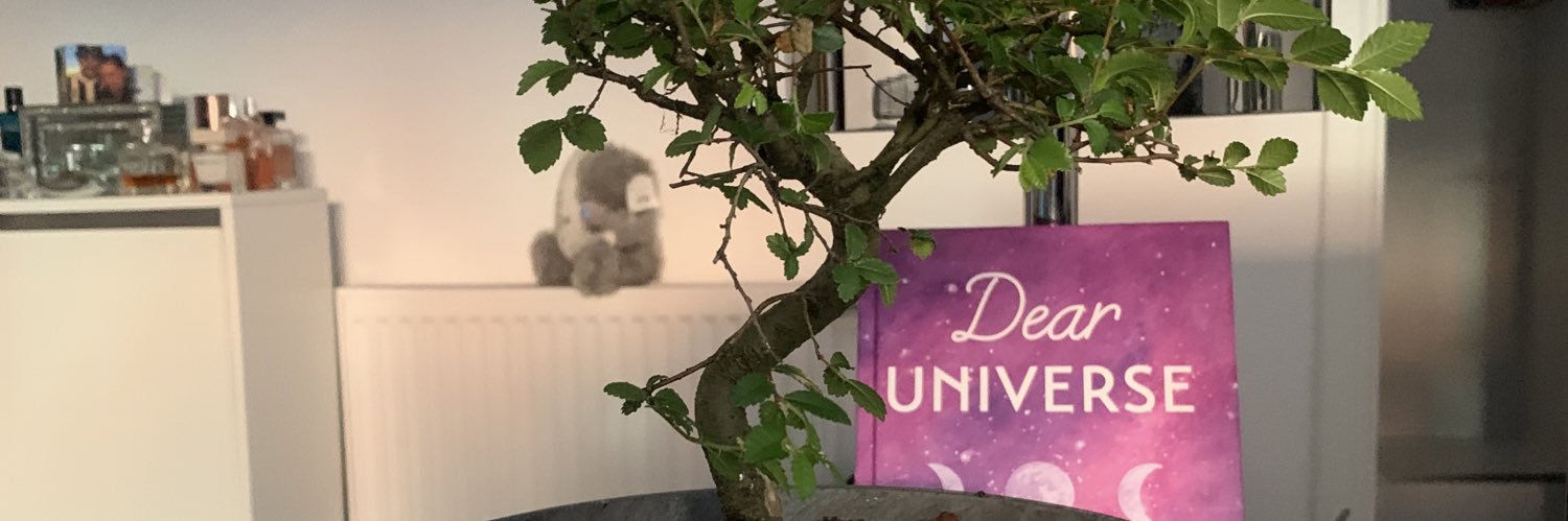 ShannonArc's profile banner image