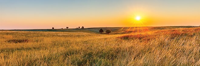 Reid Pedersen banner