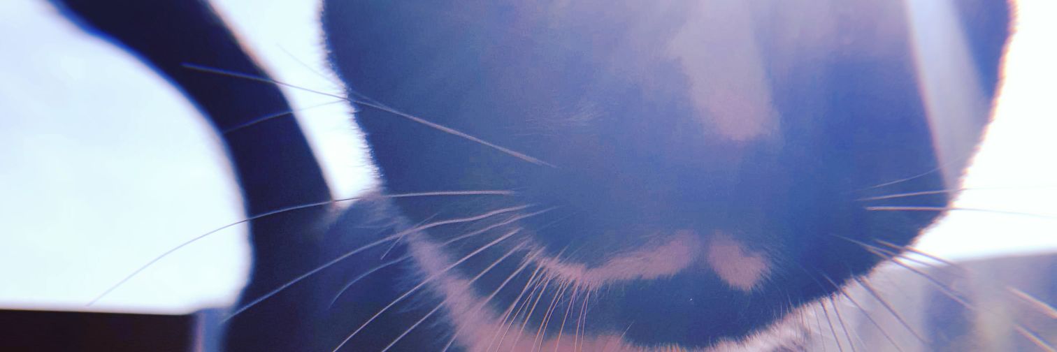 _caitcait's profile banner image