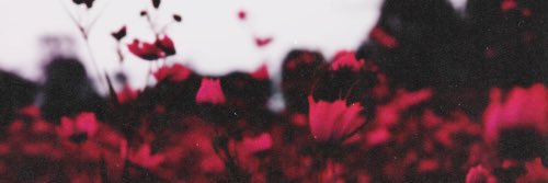michi130999's profile banner image
