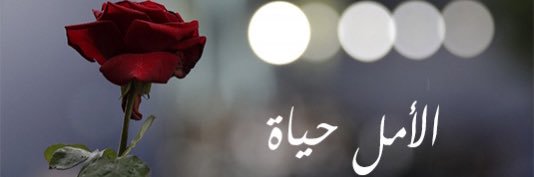 the_afraaa's profile banner image