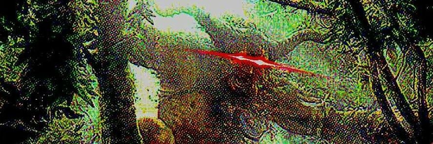 JaFrTo's profile banner image