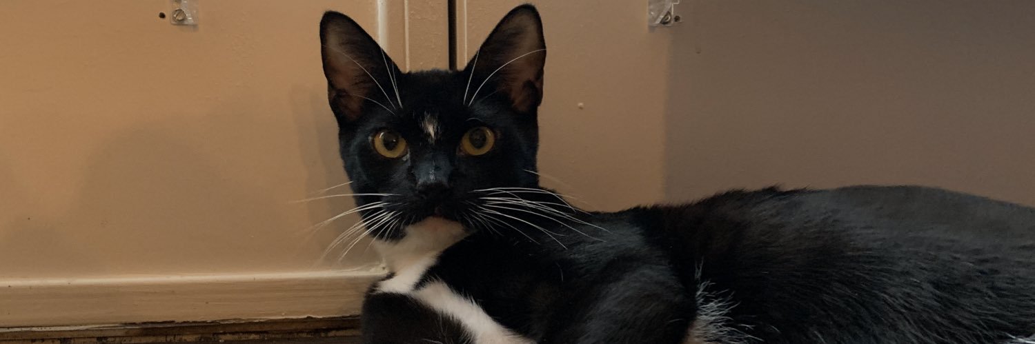 Metzgerrrrr's profile banner image