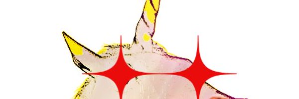cktricky Profile Banner