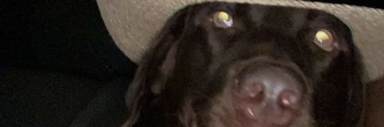 CranfordSam's profile banner image
