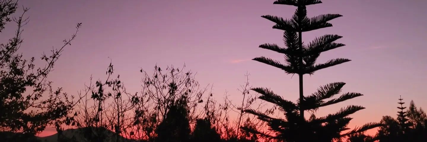 SCaritoz's profile banner image