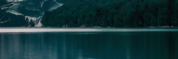 dilly_woo's profile banner image