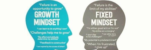 HectorinMiami Profile Banner