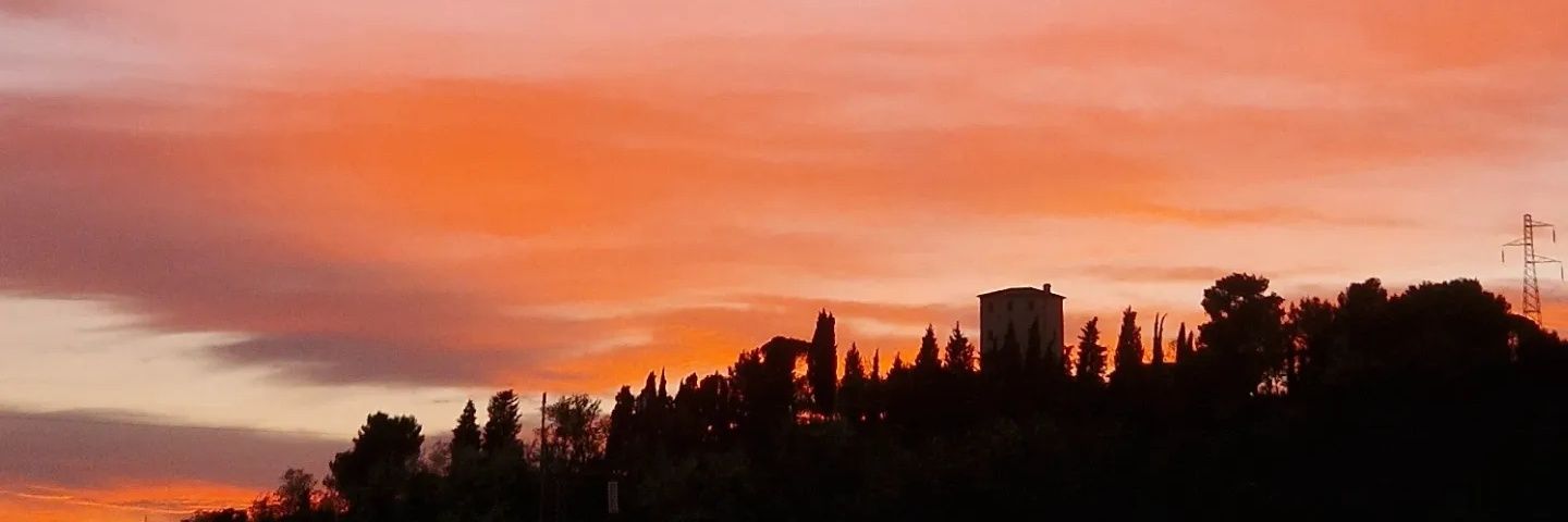 Lale_Pap's profile banner image
