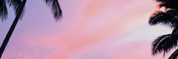 TrayCWoo Profile Banner