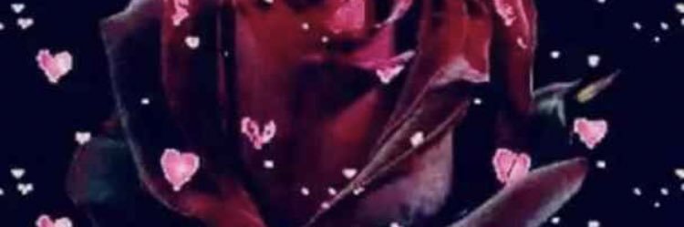 saad0772's profile banner image