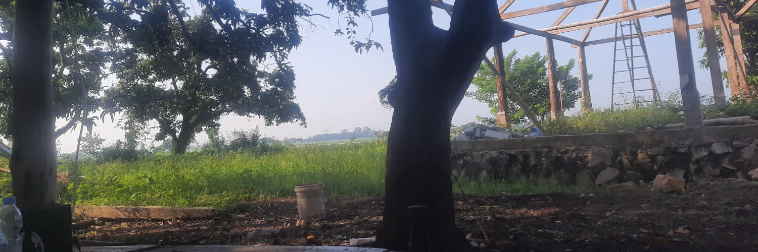GrGilng's profile banner image