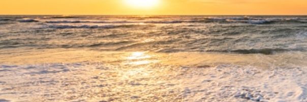 LatestAction's profile banner image
