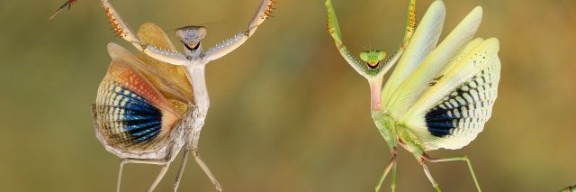 Beth Hardisty banner