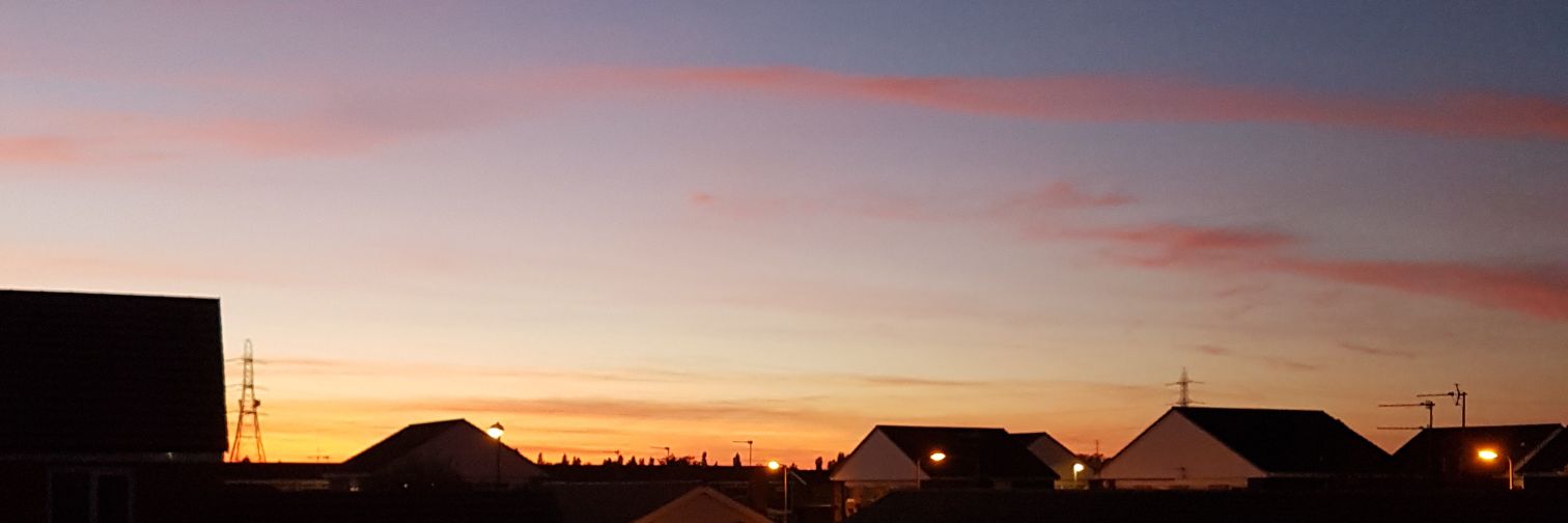 NicoleDennett's profile banner image
