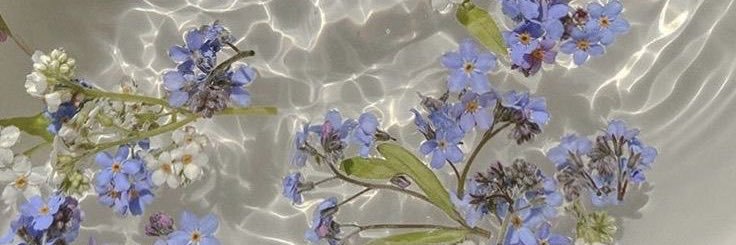 mackenziepipiaa's profile banner image