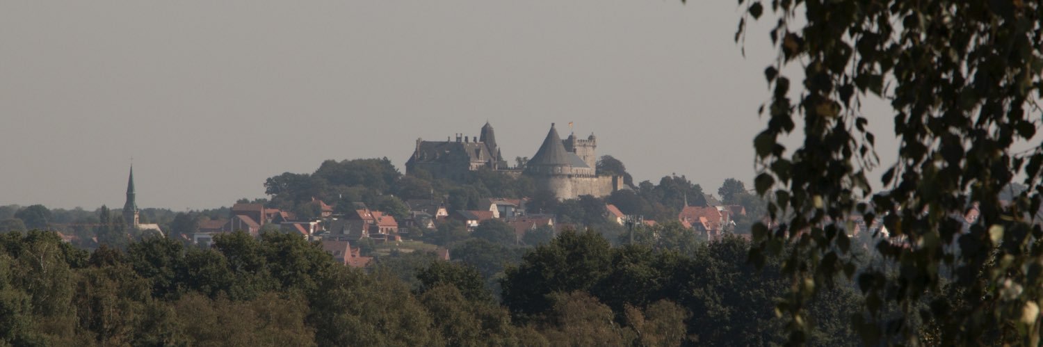 fredveldman's profile banner image