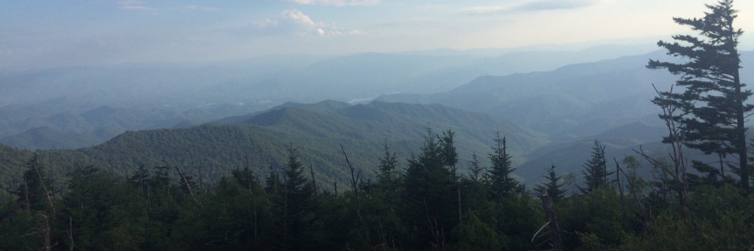 amberjannaro's profile banner image