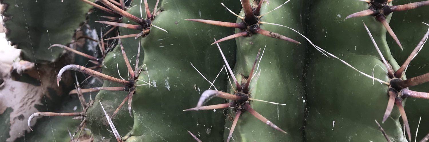 jcbouniol / @jcbouniol.bsky.social banner