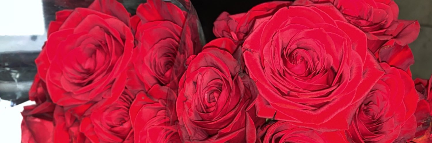 Pardon_Me_Boss's profile banner image