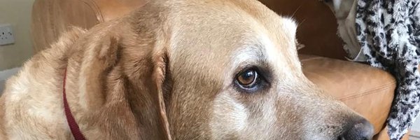 Andyucl Profile Banner