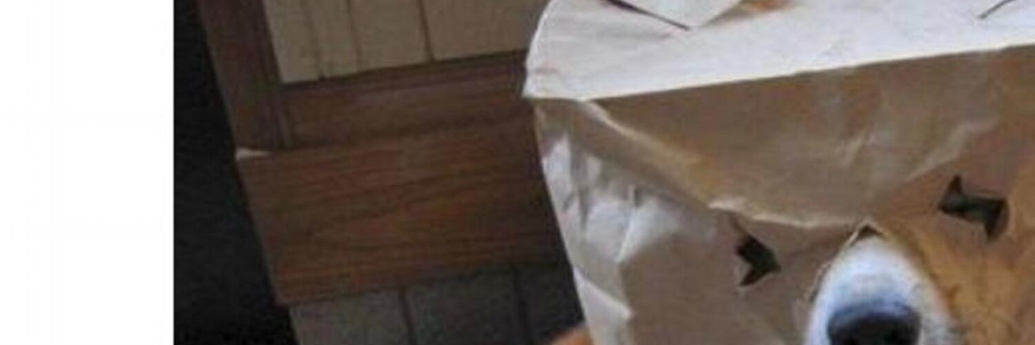 yesthisispyry's profile banner image