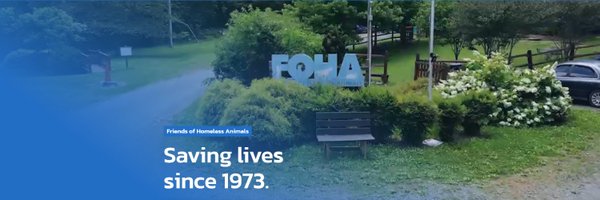 foha_va Profile Banner