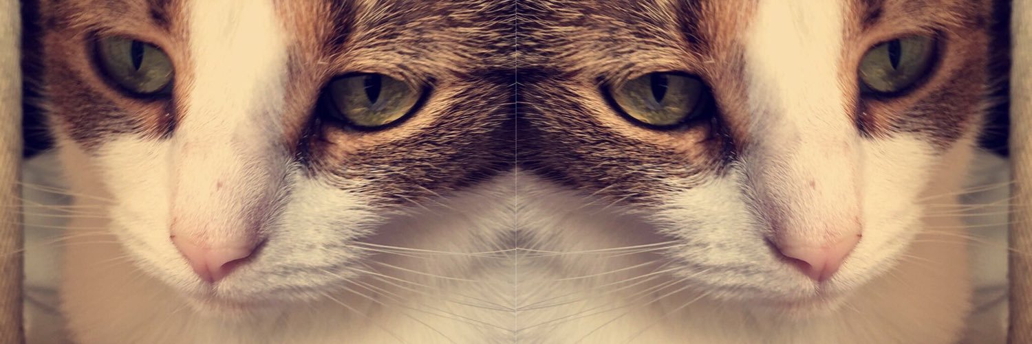 GreatRipple's profile banner image