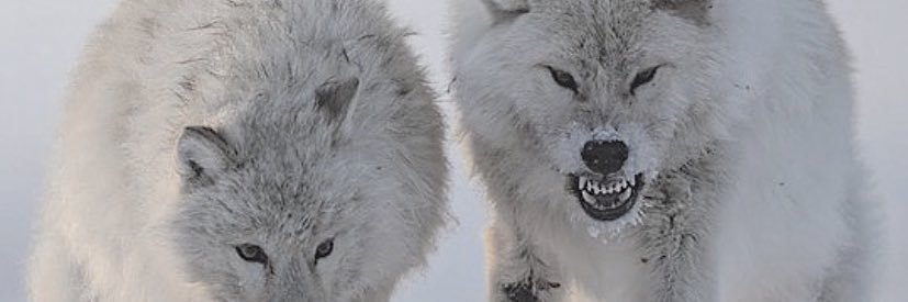 BrendenSayers's profile banner image